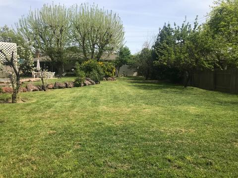 4529 Garfield Ave, Carmichael, CA 95608 photo 26