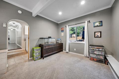 21492 Robin Ln, Pine Grove, CA 95665 photo 57