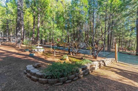 25648 Blaze Ct, Volcano, CA 95689 photo 66