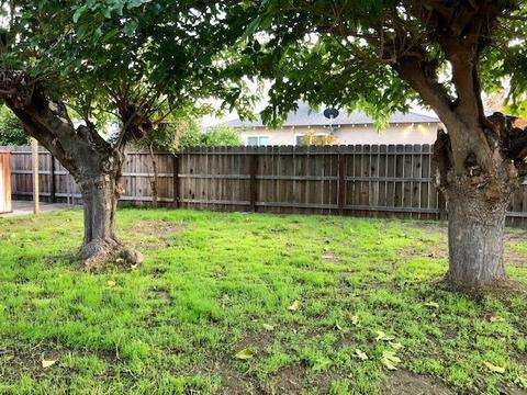 2916 Joy Ave, Ceres, CA 95307 photo 32
