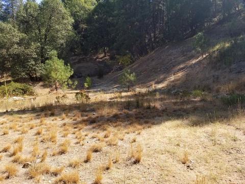 4980 Starkes Grade Rd, Placerville, CA 95667 photo 1