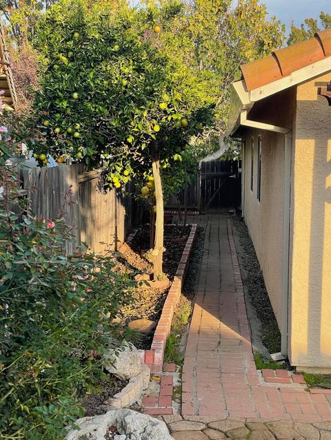 1109 Entrada Dr, Davis, CA 95618 photo 53