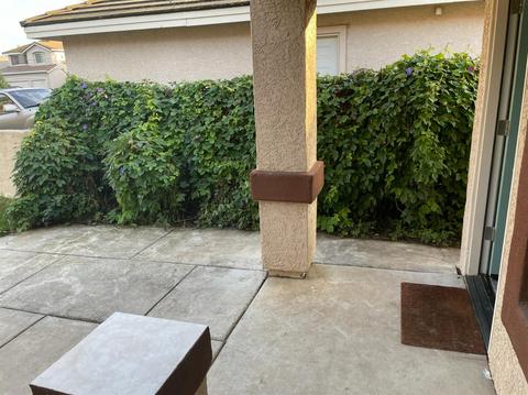 1109 Entrada Dr, Davis, CA 95618 photo 8