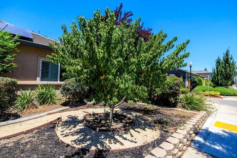 1110 River Ave, Oakdale, CA 95361 photo 7