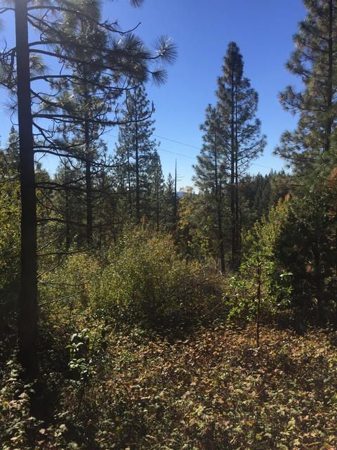 10747 Forbestown Rd, Challenge, CA 95925 photo 2