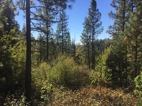 10747 Forbestown Rd, Challenge, CA 95925 photo 1