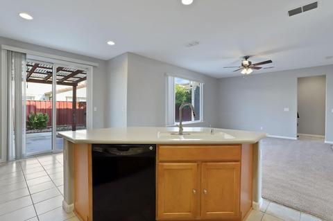 353 Rosebriar, Lathrop, CA 95330 photo 15