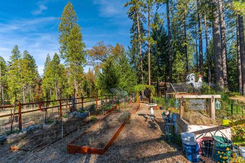 1239 Hidden Valley Rd, West Point, CA 95255 photo 46