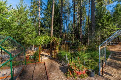 1239 Hidden Valley Rd, West Point, CA 95255 photo 47