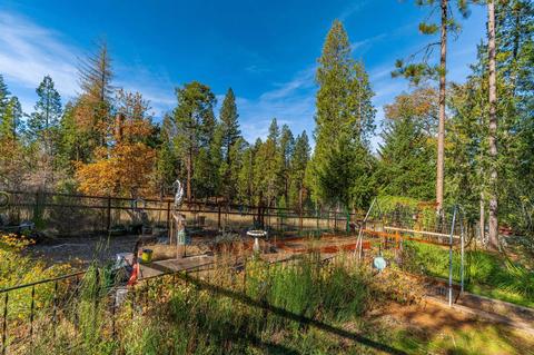 1239 Hidden Valley Rd, West Point, CA 95255 photo 48