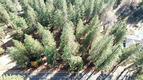 27080 Shake Ridge Rd, Volcano, CA 95689 photo 3