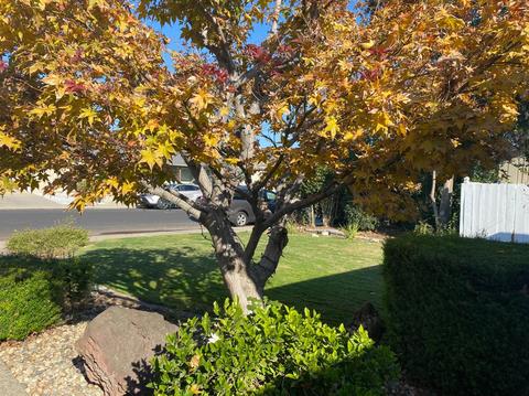 1000 Dyer Ln, Modesto, CA 95350 photo 3