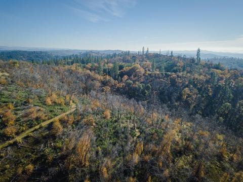 2244 Dorray Rd, Glencoe, CA 95232 photo 26