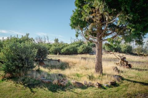 2244 Dorray Rd, Glencoe, CA 95232 photo 21