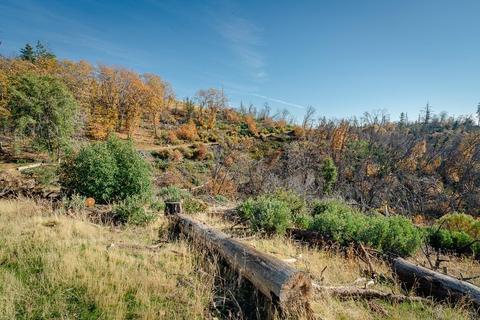2244 Dorray Rd, Glencoe, CA 95232 photo 18
