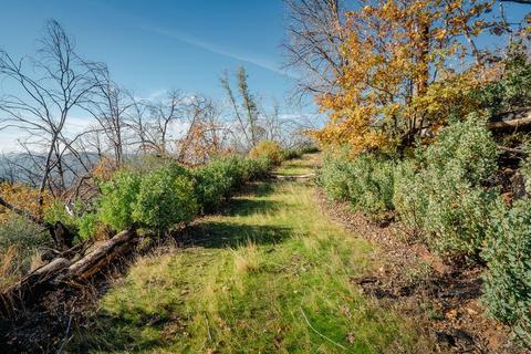 2244 Dorray Rd, Glencoe, CA 95232 photo 23