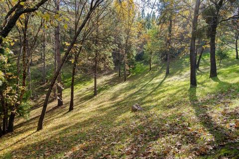 14617 Quartz Mountain Rd E, Sutter Creek, CA 95685 photo 20