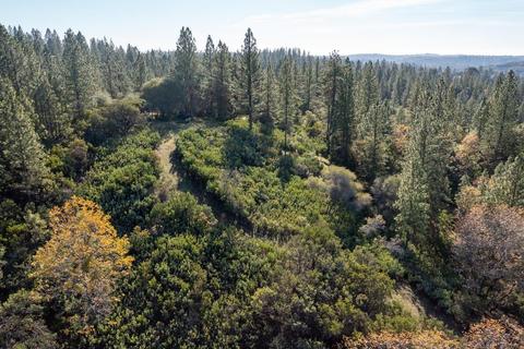 14617 Quartz Mountain Rd E, Sutter Creek, CA 95685 photo 17