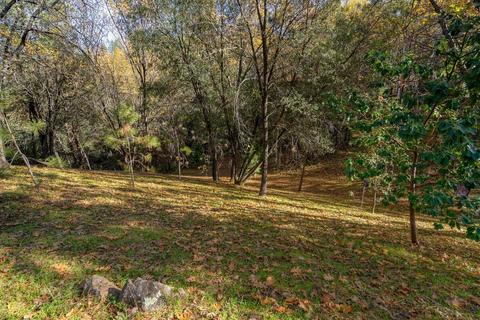 14617 Quartz Mountain Rd E, Sutter Creek, CA 95685 photo 19