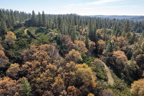 14617 Quartz Mountain Rd E, Sutter Creek, CA 95685 photo 36