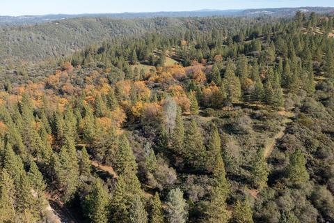 14617 Quartz Mountain Rd E, Sutter Creek, CA 95685 photo 33
