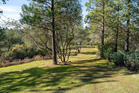 14617 Quartz Mountain Rd E, Sutter Creek, CA 95685 photo 29