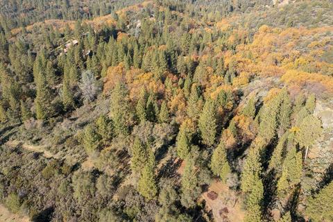 14617 Quartz Mountain Rd E, Sutter Creek, CA 95685 photo 31