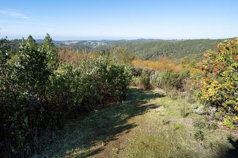 14617 Quartz Mountain Rd E, Sutter Creek, CA 95685 photo 27