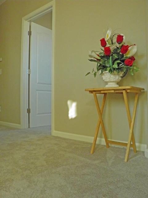 18223 Garmetta Way, Lathrop, CA 95330 photo 7
