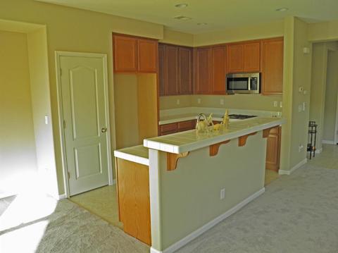 18223 Garmetta Way, Lathrop, CA 95330 photo 10