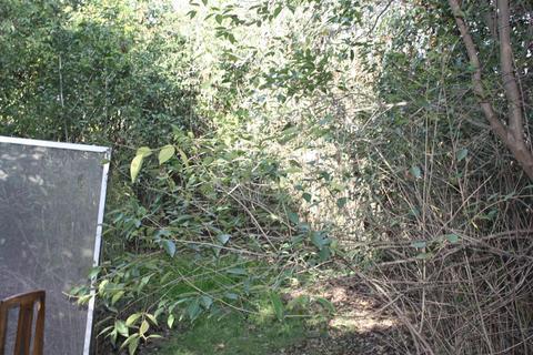 1013 Mason St, Lodi, CA 95242 photo 6