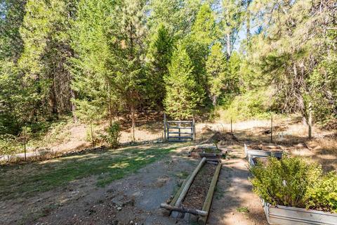 5991 Spanish Dry Diggins, Georgetown, CA 95634 photo 29