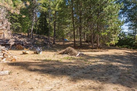 5991 Spanish Dry Diggins, Georgetown, CA 95634 photo 31