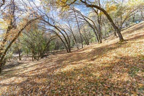 2931 Texas Hill Rd, Placerville, CA 95667 photo 65