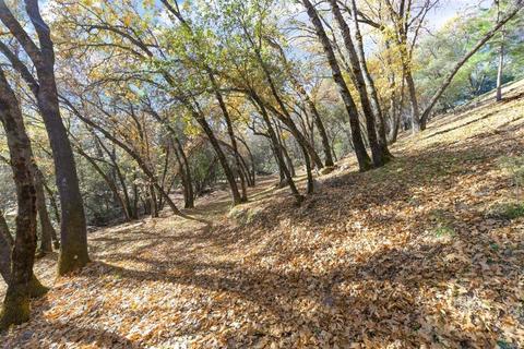 2931 Texas Hill Rd, Placerville, CA 95667 photo 64