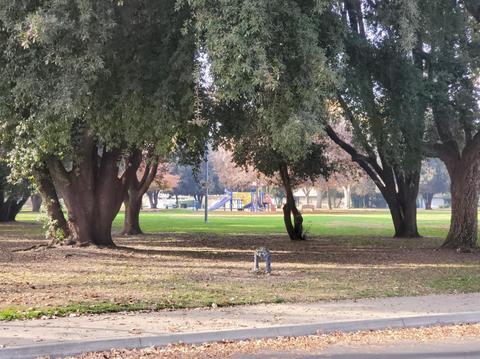 602 Muir Rd, Modesto, CA 95350 photo 45