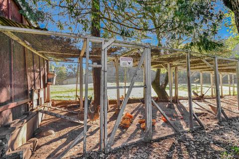14345 Sutter Creek Rd, Sutter Creek, CA 95685 photo 56
