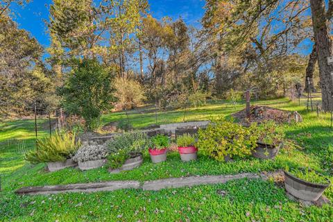 14345 Sutter Creek Rd, Sutter Creek, CA 95685 photo 72