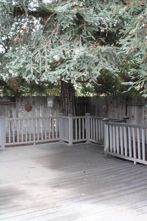 1305 Serenity Ct, Modesto, CA 95355 photo 32