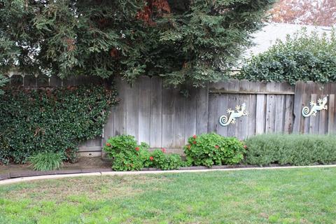 1305 Serenity Ct, Modesto, CA 95355 photo 36