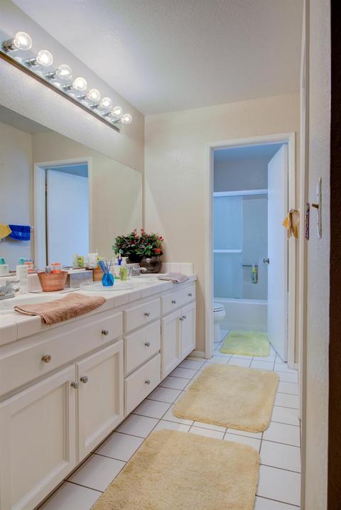 3609 Chandra Ct, Ceres, CA 95307 photo 34