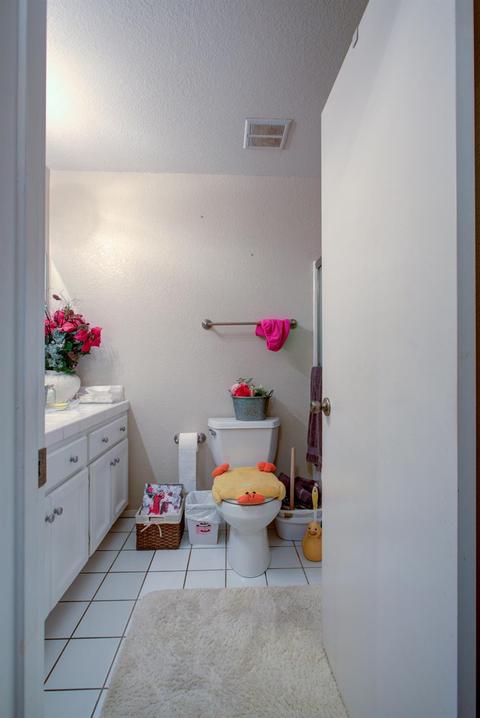 3609 Chandra Ct, Ceres, CA 95307 photo 36