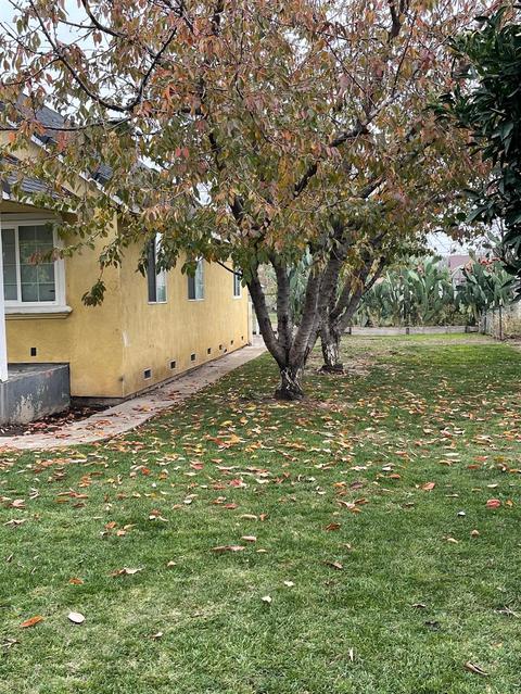 908 Seybold Ave, Modesto, CA 95351 photo 6
