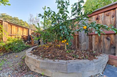 1420 Mendota Way, Carmichael, CA 95608 photo 38