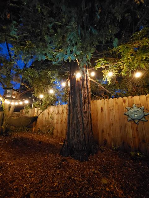256 Baurer Cir, Folsom, CA 95630 photo 55
