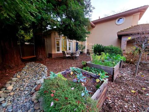 256 Baurer Cir, Folsom, CA 95630 photo 58