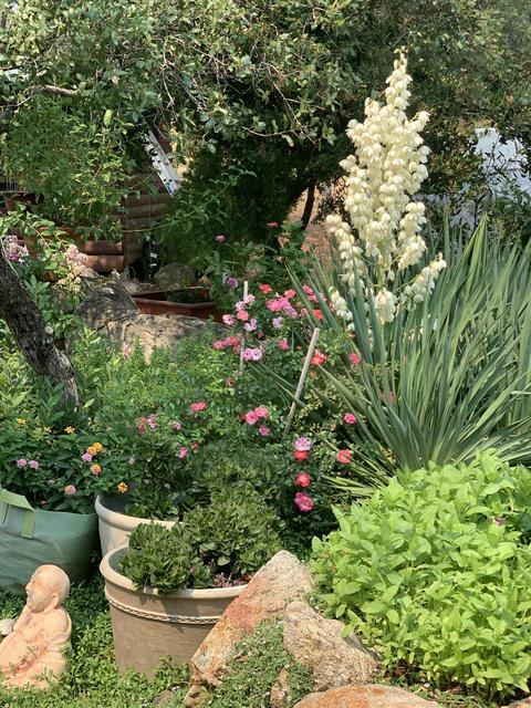 14880 Blue Bell Rd W, Sonora, CA 95370 photo 41