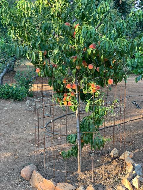 14880 Blue Bell Rd W, Sonora, CA 95370 photo 36