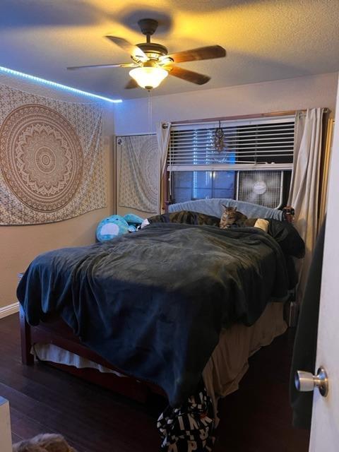 365 Oak Ave, Ripon, CA 95366 photo 14