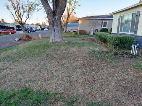 1616 Gardenia Rd, Modesto, CA 95350 photo 8